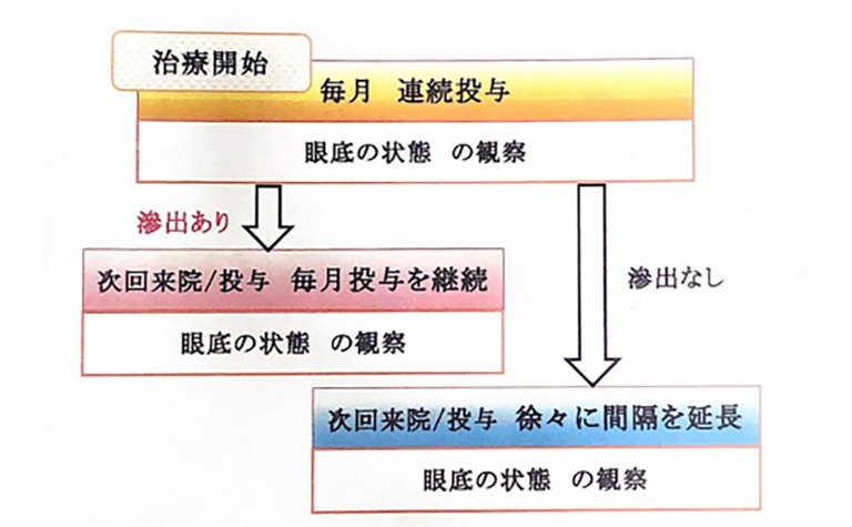 治療スケジュール